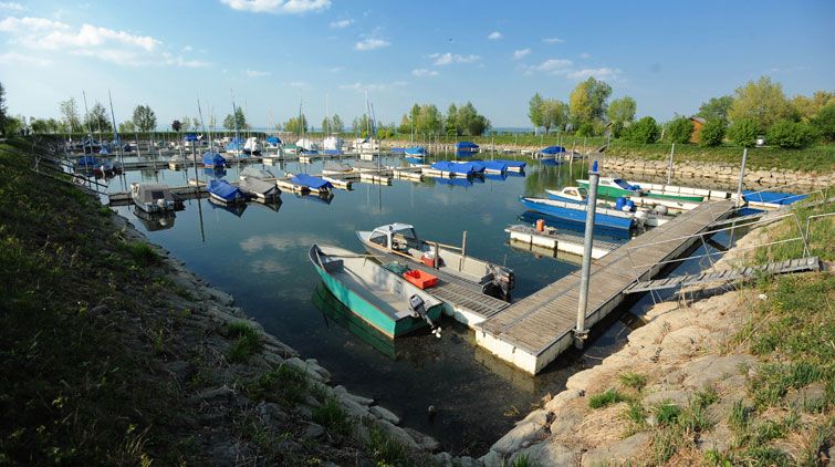 Im Höchster Hafen ist das Wasser noch 1,80 Meter tief. Im Höchster Hafen ist das Wasser noch 1,80 Meter tief.