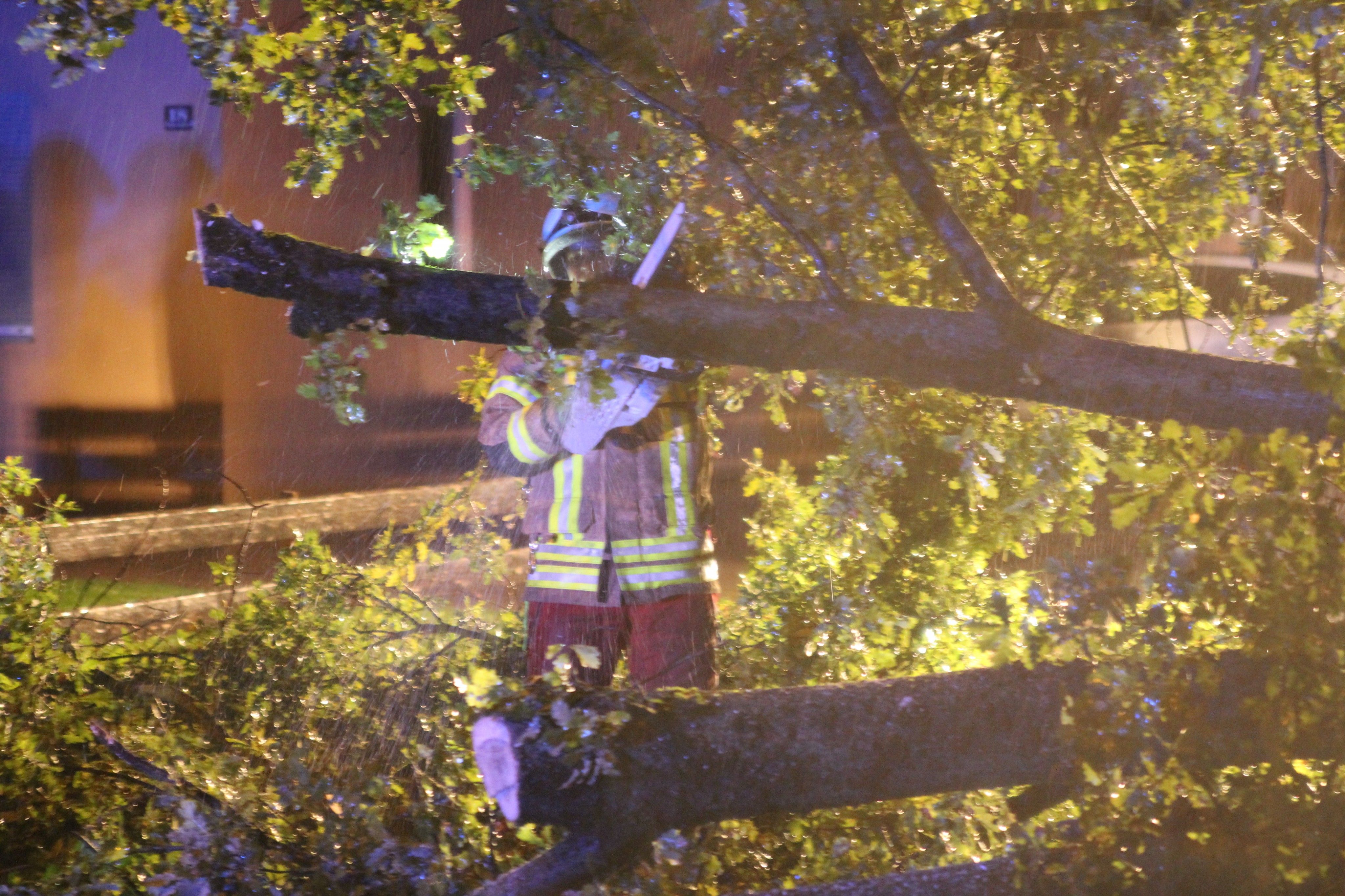 Vor allem umgestürzte Bäume, die Straßen versperrten, beschäftigten die Feuerwehr.