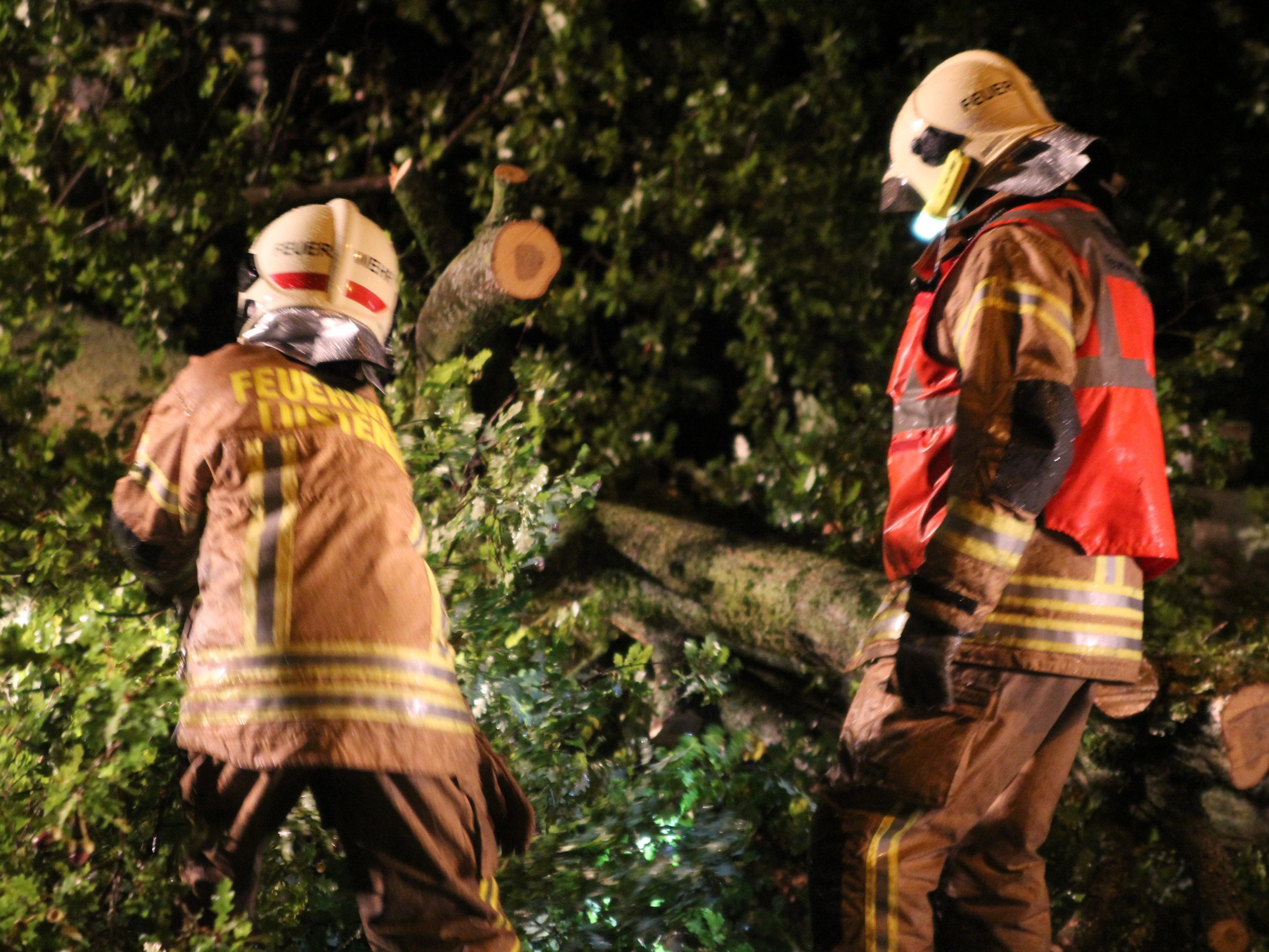 In Lustenau verlegte ein Baum die Philipp-Krapf-Straße.