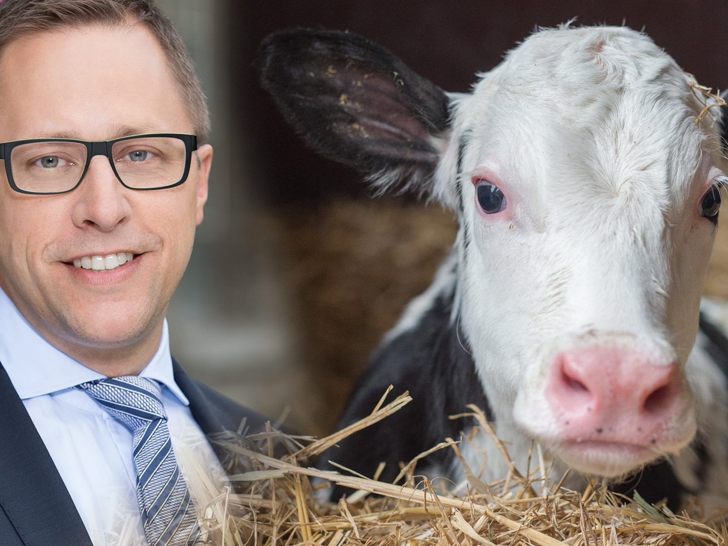 Daniel Matt (NEOS) plädiert für eine Rinderzucht nach schweizer Vorbild. Daniel Matt (NEOS) plädiert für eine Rinderzucht nach schweizer Vorbild.