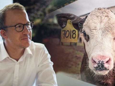 Landesrat Gantner: "Veterinärbehörde handelt korrekt."