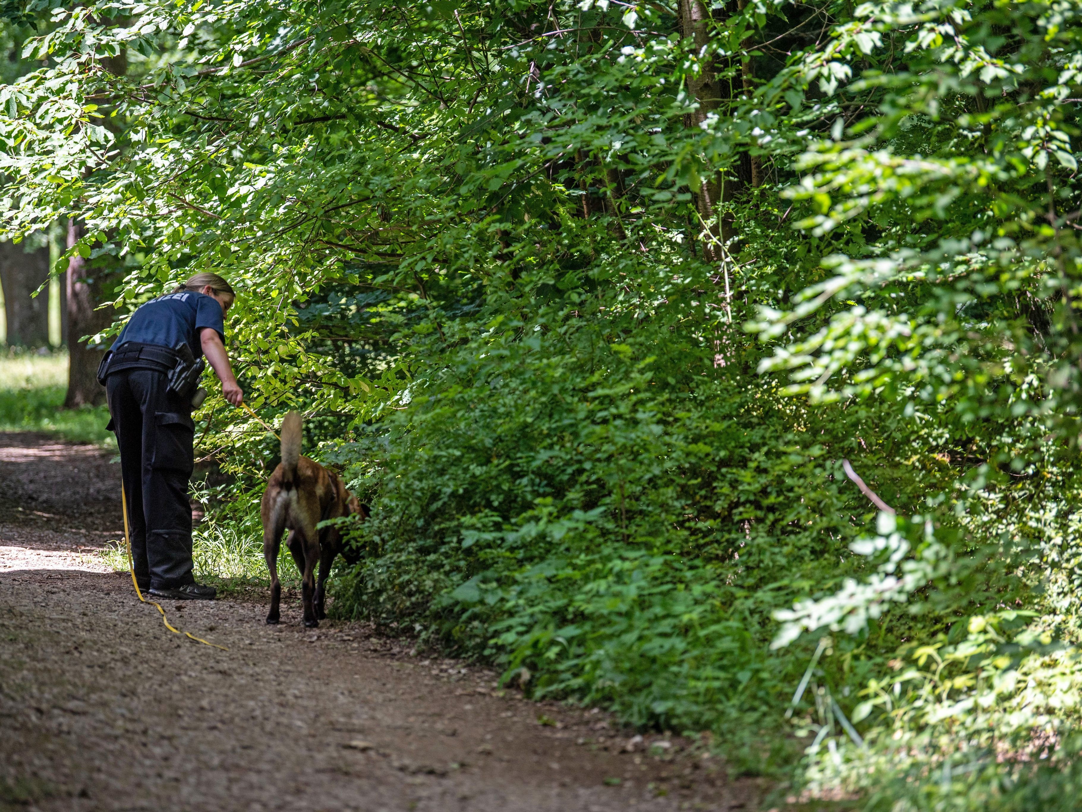 Der Mann soll eine Wolfsmaske getragen haben.