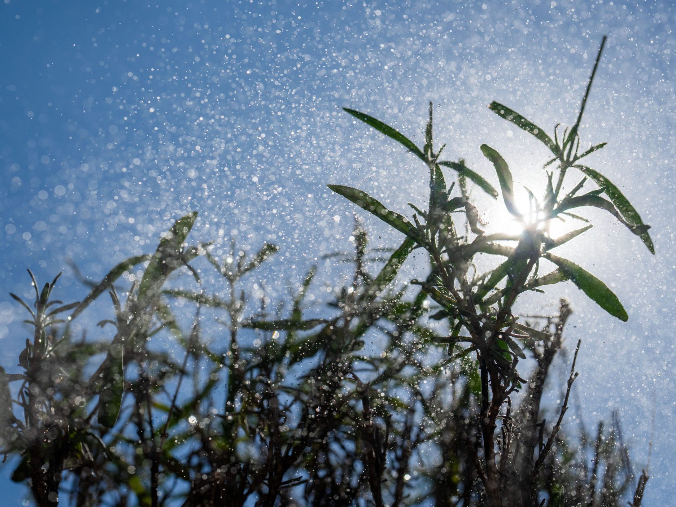 Warme Temperaturen am Samstag. Warme Temperaturen am Samstag.