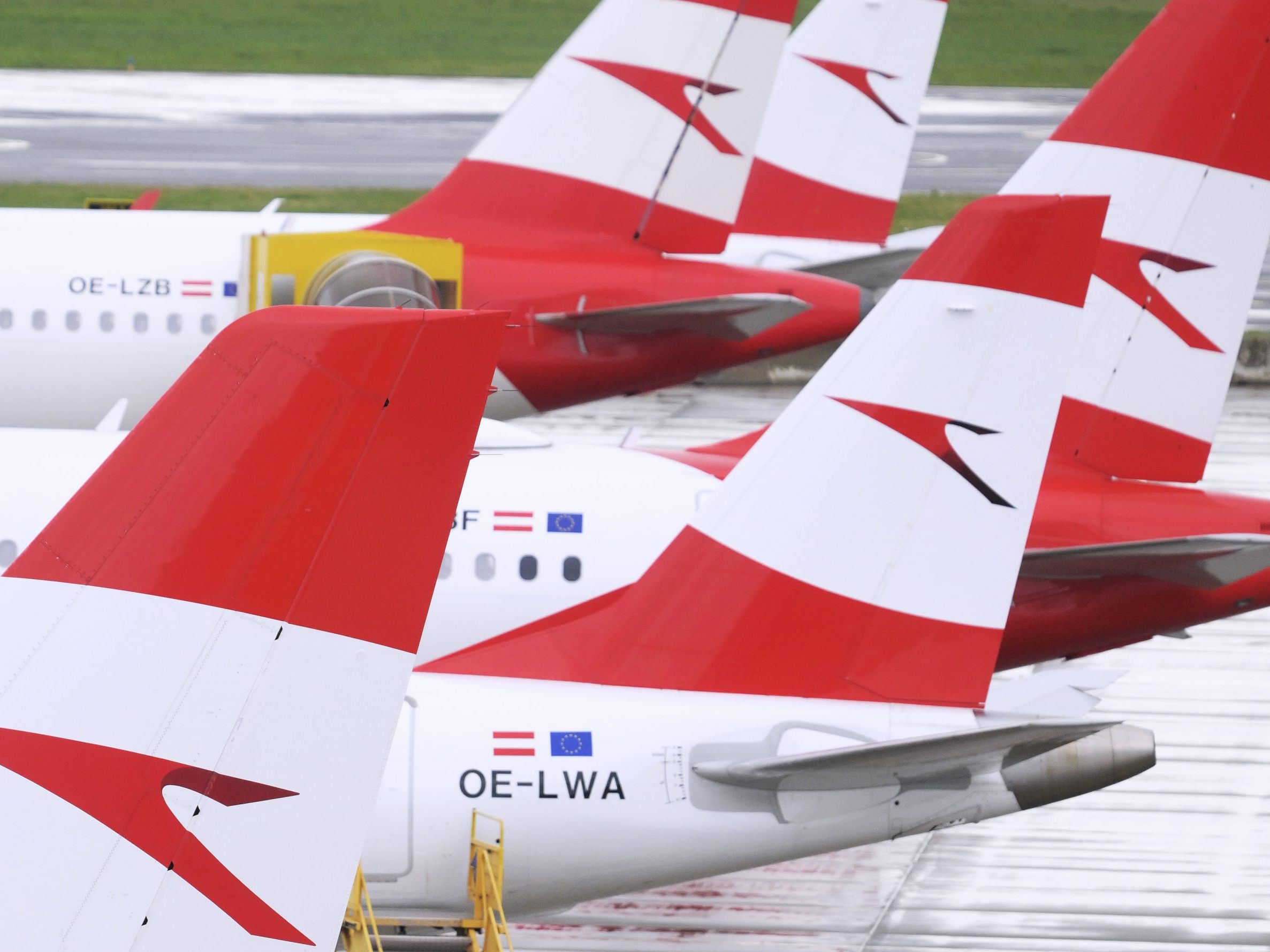 Die AUA nimmt die Flüge nach Tel Aviv und Teheran wieder auf. Die AUA nimmt die Flüge nach Tel Aviv und Teheran wieder auf.