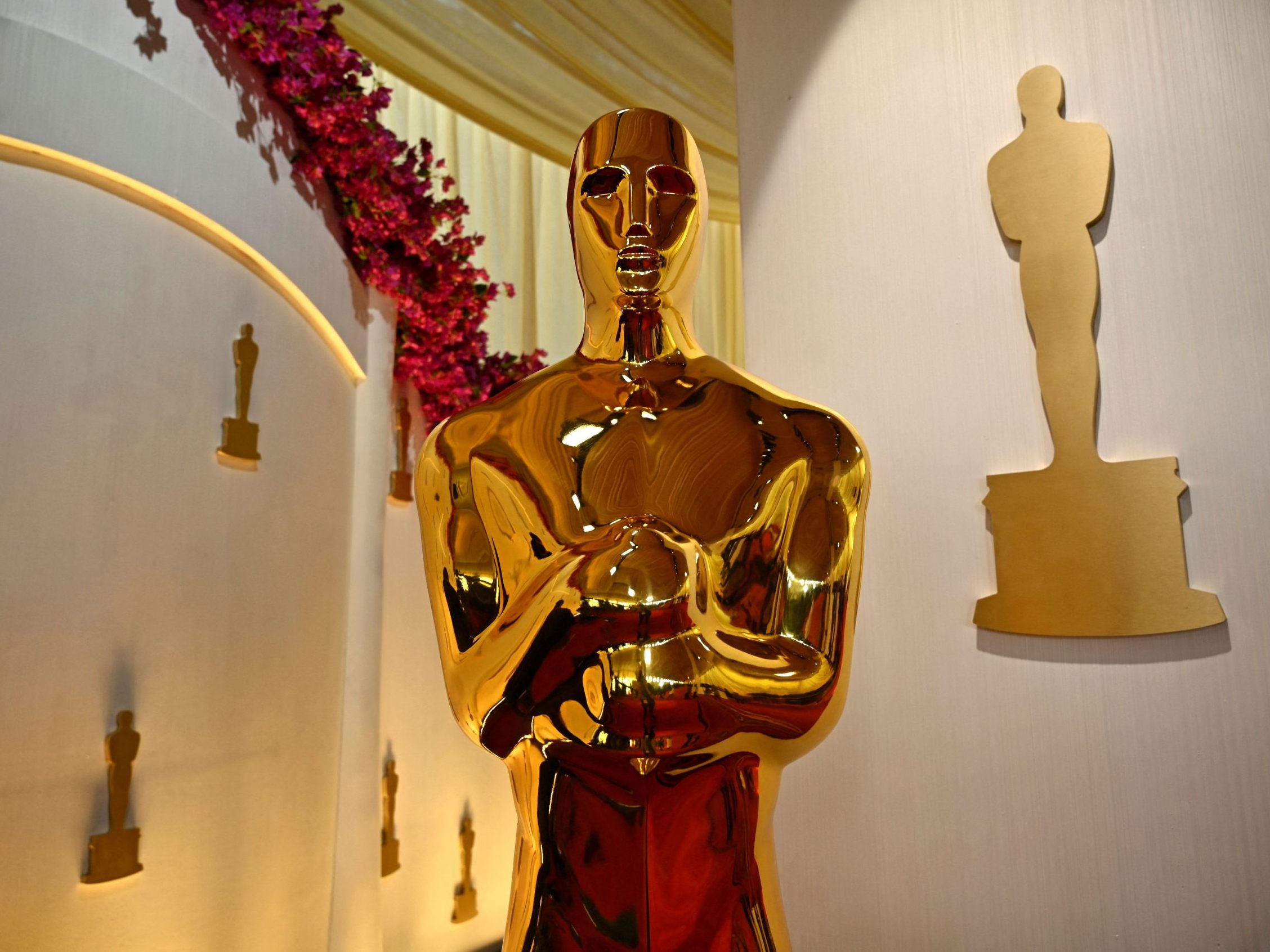 Am Donnerstag wurden die Oscar-Nominierungen bekanntgegeben. Am Donnerstag wurden die Oscar-Nominierungen bekanntgegeben.